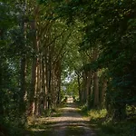 Des Tropiques