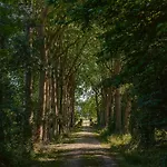 Des Tropiques