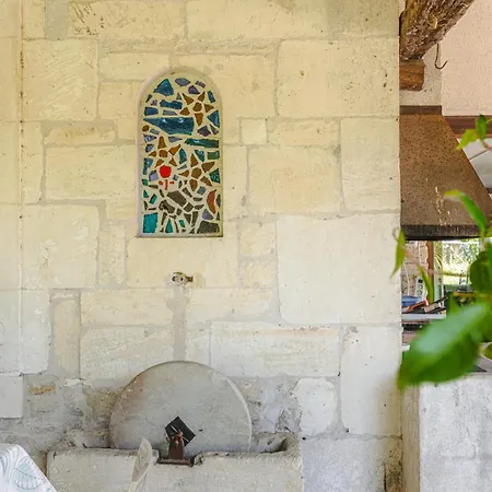 Дом отдыха Des Tropiques Genouille (Charente-Maritime)